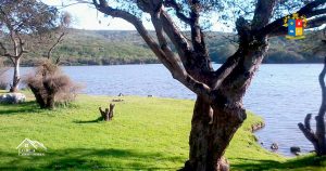 corredora de propiedades quilpué