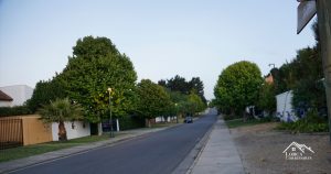 Casas en arriendo, Bosques de Montemar