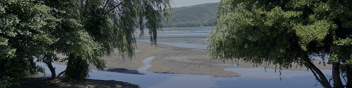 corredores de propiedades