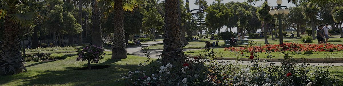 corredores de propiedades en viña del mar