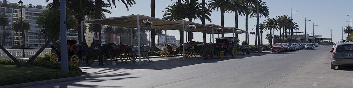 corredores de propiedades en viña del mar