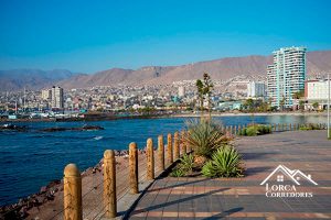 oficina corredores propiedades antofagasta