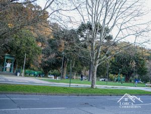 departamento en venta concepción