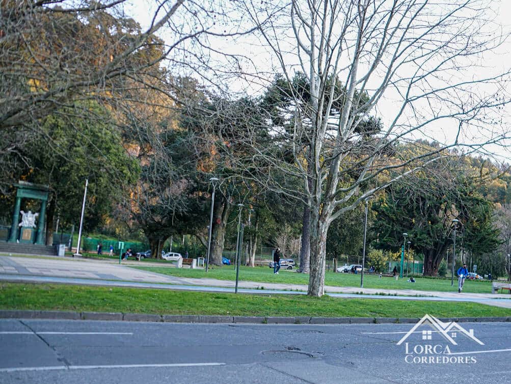 departamento concepción venta