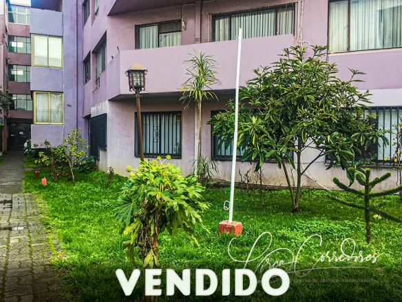 oficina en arriendo departamento en venta calle Lincoyán Concepción
