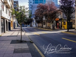 oficina en arriendo oficinas en concepción arriendo