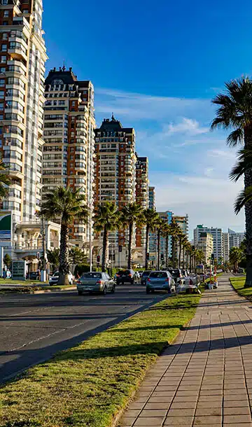 Departamentos en viña del mar