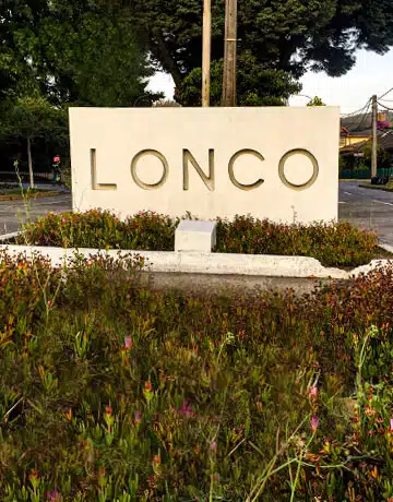 Casas en Lonco Chiguayante