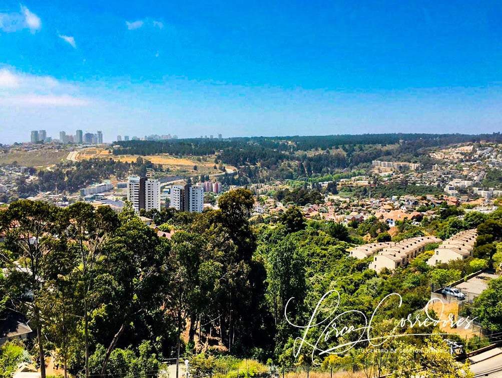 departamento en reñaca venta