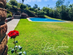 departamentos en reñaca