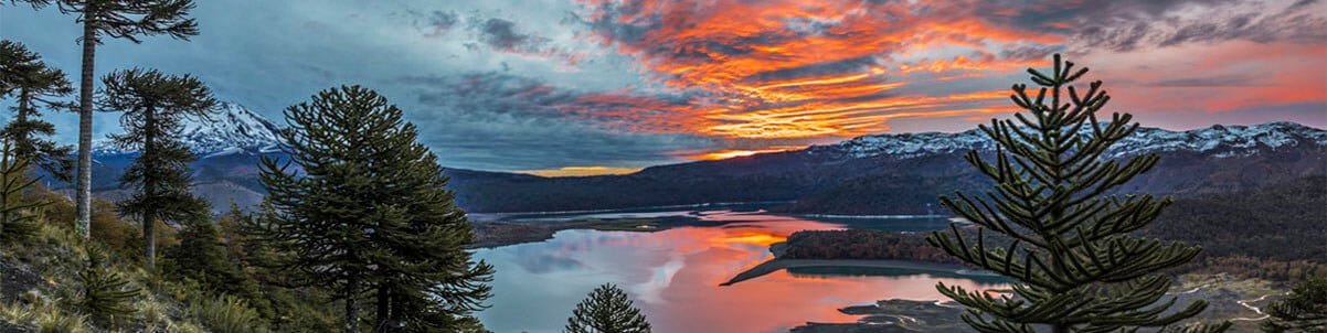 corredores de propiedades pucón