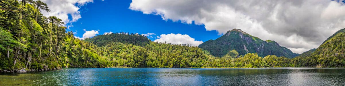 corredores de propiedades pucón