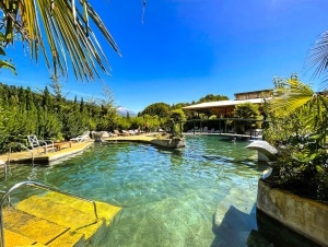 Corredores de propiedades Pucón