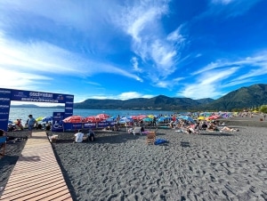 corredor de propiedades Pucón