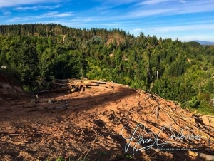 venta de campo camino a florida concepción