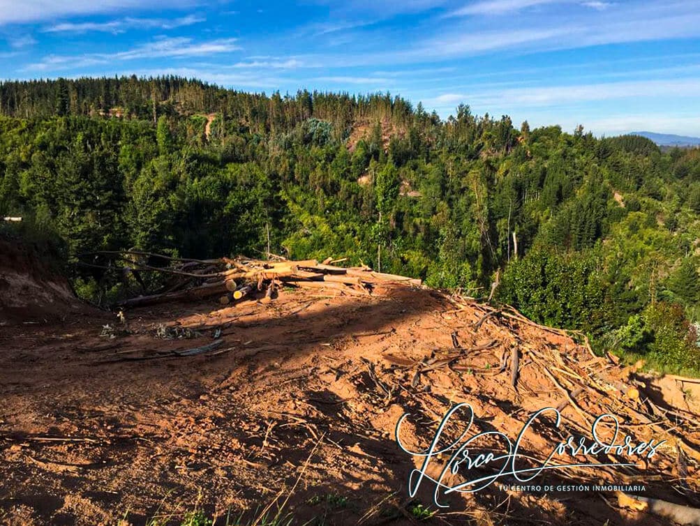 venta de campo camino a florida concepción