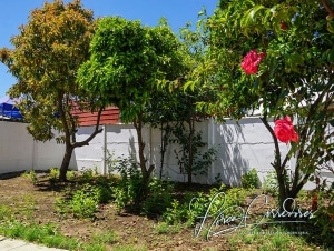 arriendo de casas en chillán