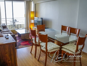 arriendos vacacionales por días viña del mar