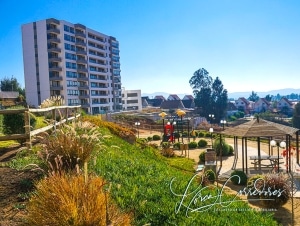 departamento en quilpue sector los pinos