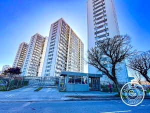 arriendos por dia en concepción