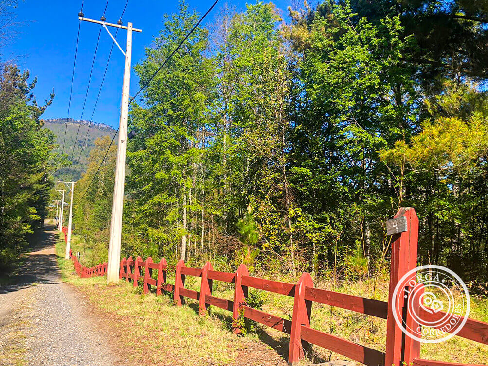 parcelas en venta pucón chile