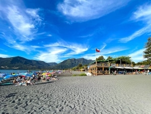 arriendos por dia en pucón