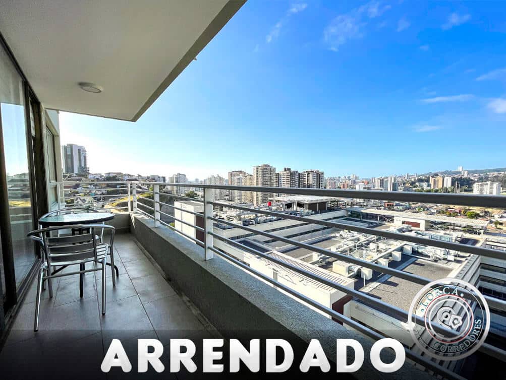 Departamento arriendo marzo a diciembre