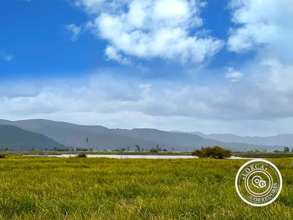 En venta terreno en Toltén región de La Araucanía