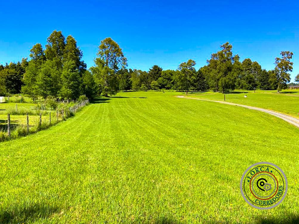 1_parcela_sin_casa_pucón_venta parcela plana en venta pucón