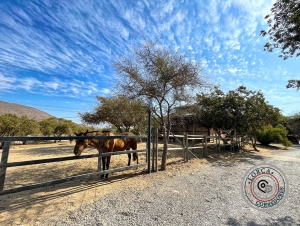 parcela en venta parcelas en olmue