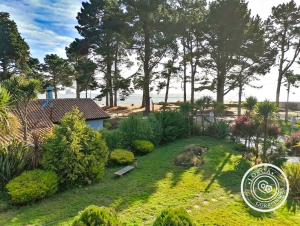 en arriendo casas en Pingueral, Tomé