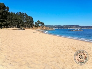 casa en arriendo pingueral comuna de Tomé