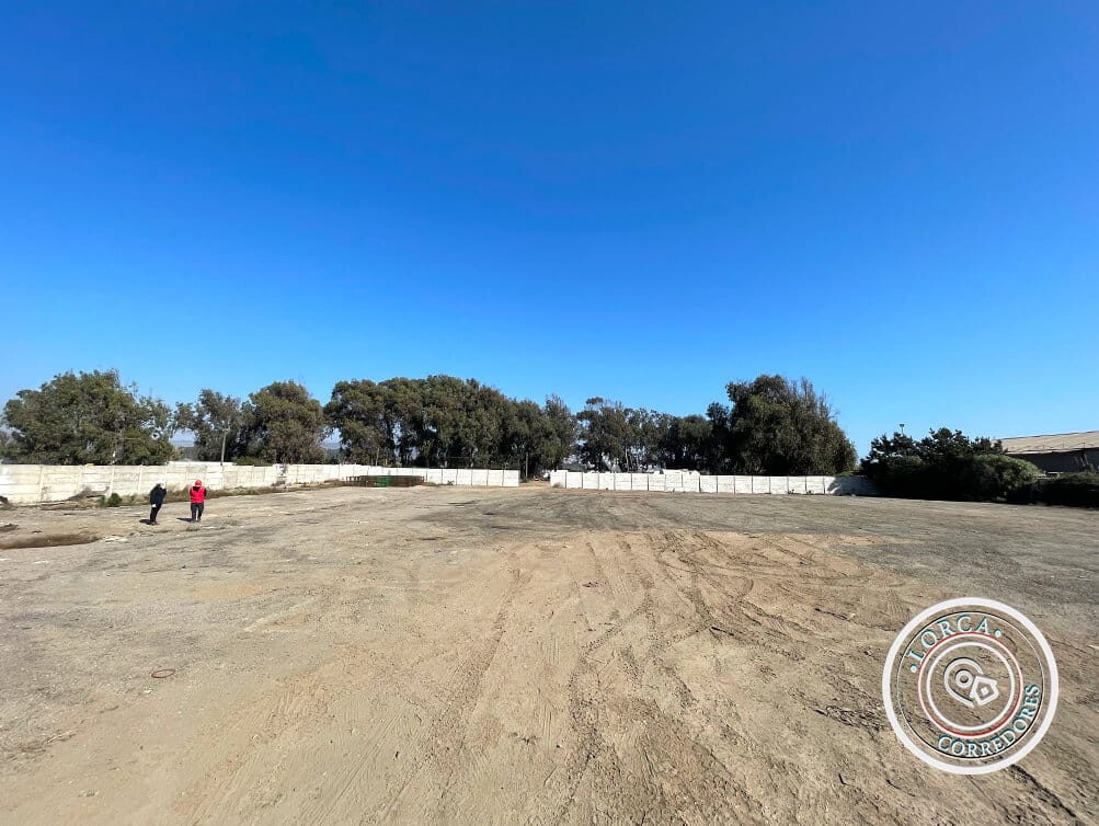 sitio industrial en concón arriendo