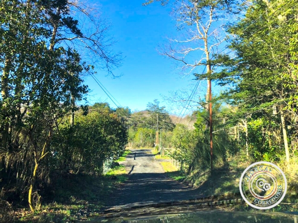 parcela parcela sin casa en venta Pucón