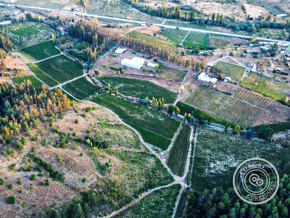 Venta Terreno Vitivinícola Industrial Portezuelo Chillán