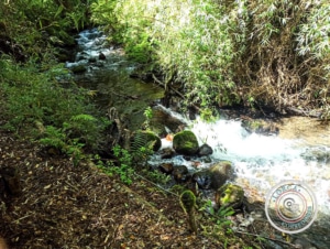 Parcelas loteadas Pucón