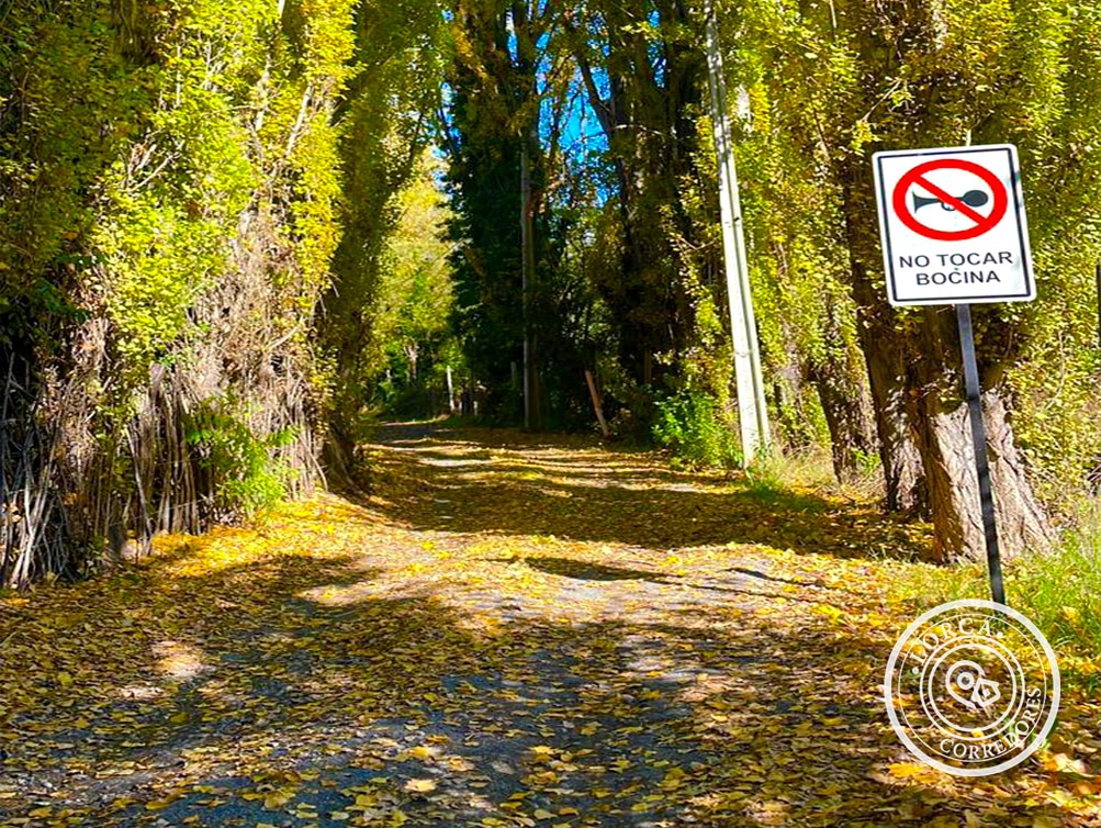 Parcela sola en venta Quillón