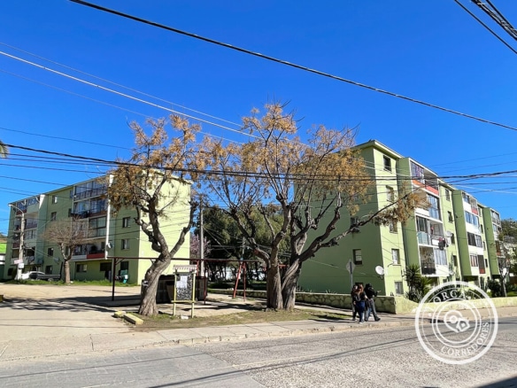 Arriendo departamento Viña del Mar