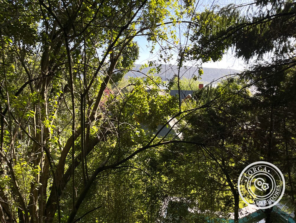 Sitio en Venta Sector Lonco Oriente, Chiguayante | 549 m² de Terreno, Subdivisión con Parte Plana y con Lomaje, Frente 12 m, UF 6.588