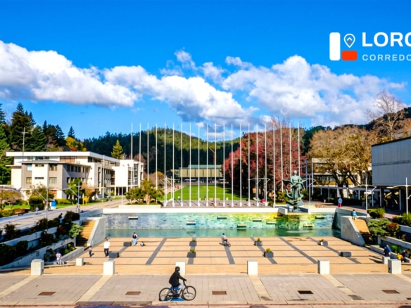 Concepción agentes inmobiliarios