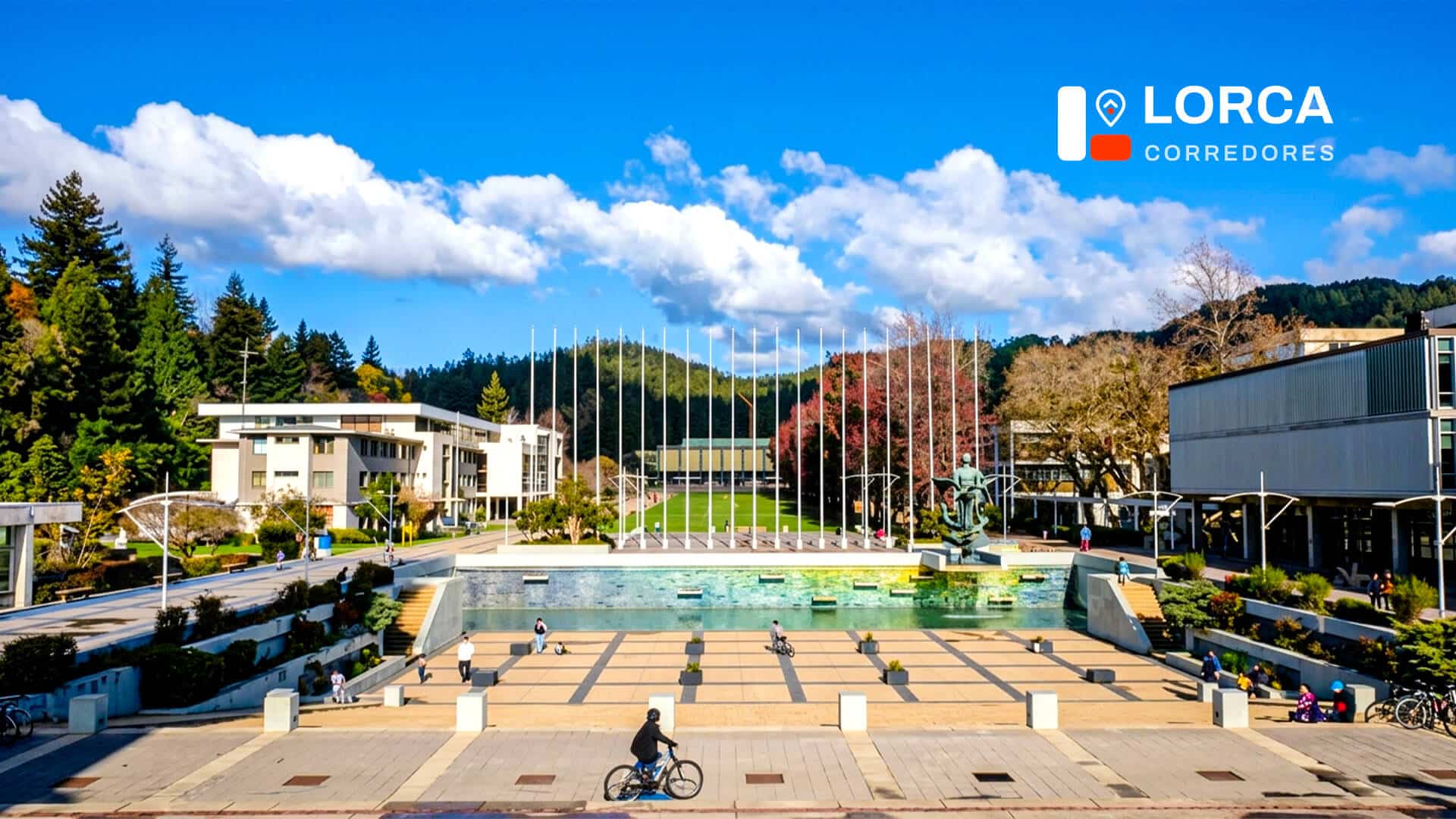 Concepción agentes inmobiliarios