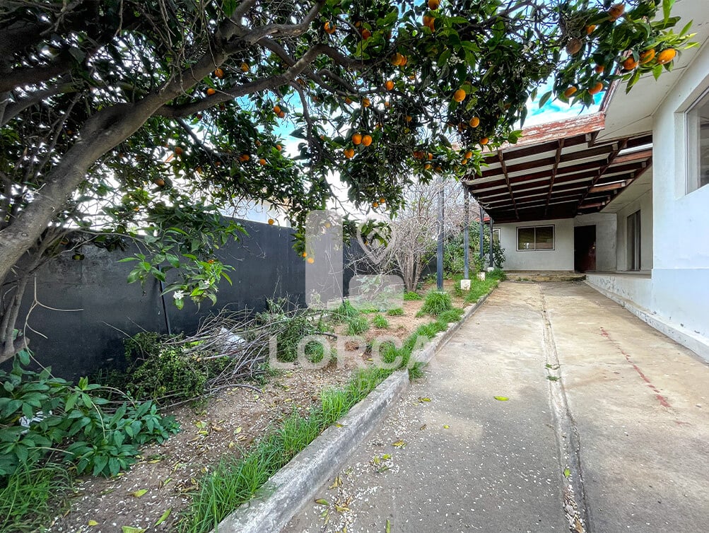 Casa en Venta Sector Pedro Montt, Quilpué | Oportunidad para Refaccionar, 3 Dormitorios, 3 Baños, 160 m² Construidos sobre 450 m² de Terreno, 3 Estacionamientos, Bodega, a 3 Cuadras de Avenida Los Carrera, UF 5.610