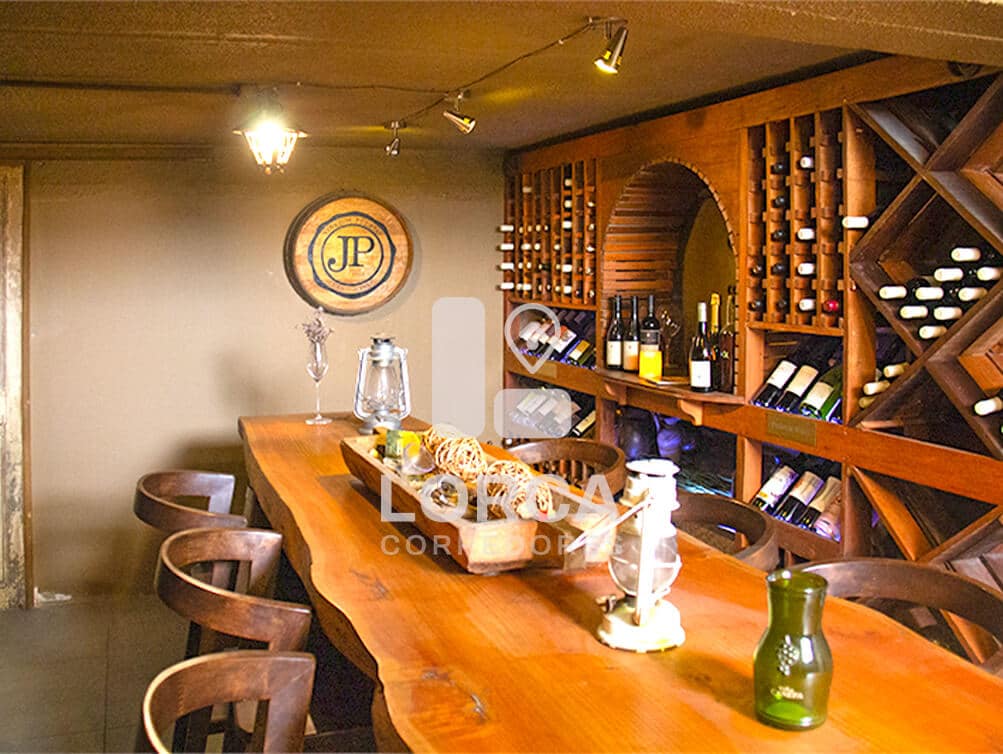 Casona Estilo Francés en Venta Barrio Italia, Providencia, Santiago — Ex Hotel Boutique, 5 Dormitorios en Suite + 7 Baños, 2 Pisos y Subterráneo, Cava de Vino, Jardín con Parrón, Normativa 4 Pisos, UF 16.500