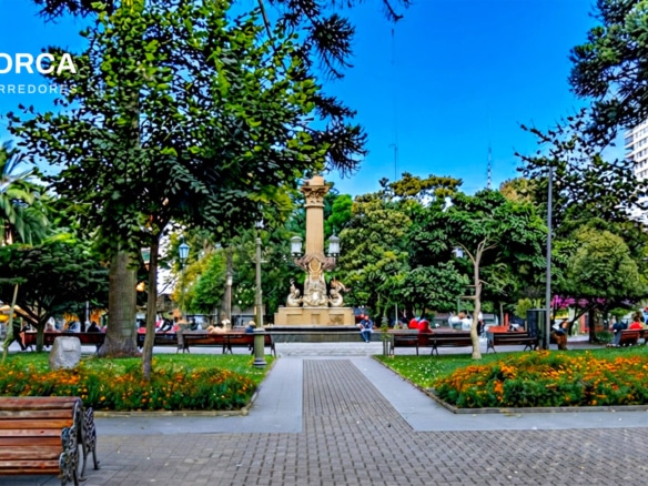 Corredores de propiedades en Concepción