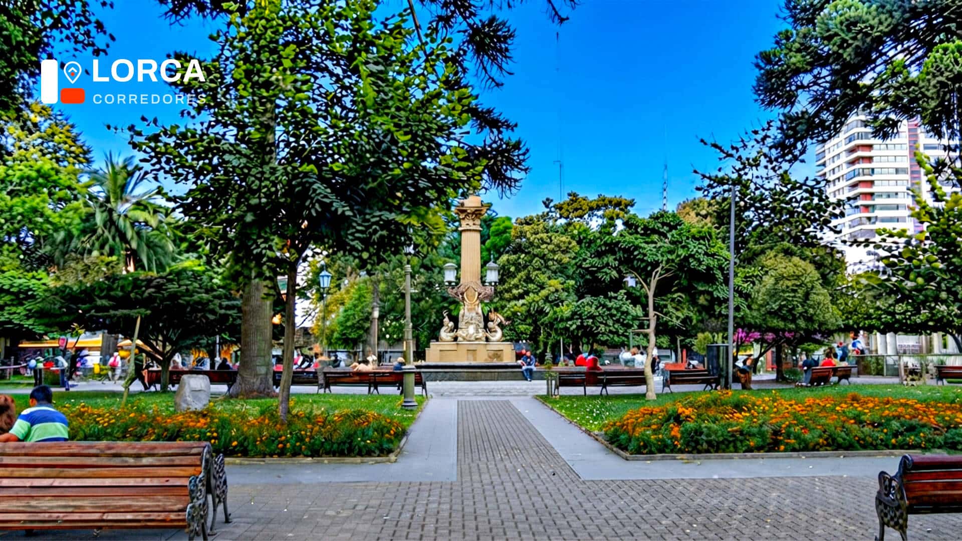 Corredores de propiedades en Concepción