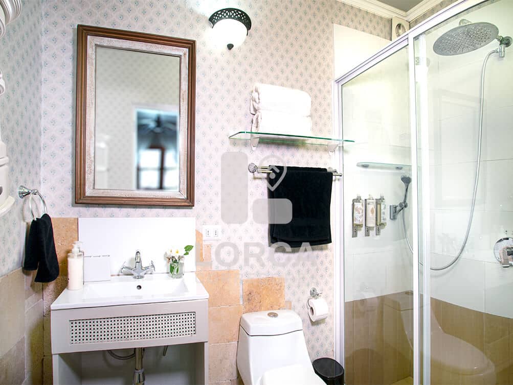 Casona Estilo Francés en Venta Barrio Italia, Providencia, Santiago — Ex Hotel Boutique, 5 Dormitorios en Suite + 7 Baños, 2 Pisos y Subterráneo, Cava de Vino, Jardín con Parrón, Normativa 4 Pisos, UF 16.500