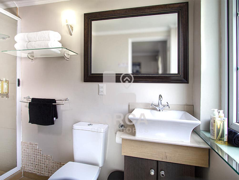 Casona Estilo Francés en Venta Barrio Italia, Providencia, Santiago — Ex Hotel Boutique, 5 Dormitorios en Suite + 7 Baños, 2 Pisos y Subterráneo, Cava de Vino, Jardín con Parrón, Normativa 4 Pisos, UF 16.500