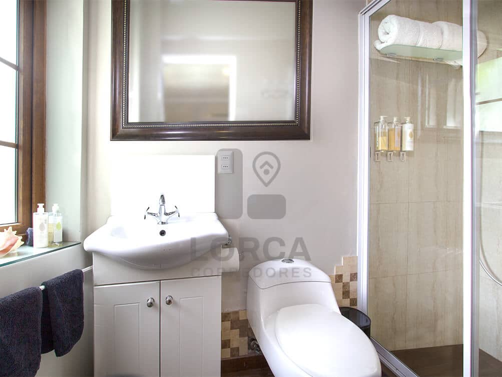 Casona Estilo Francés en Venta Barrio Italia, Providencia, Santiago — Ex Hotel Boutique, 5 Dormitorios en Suite + 7 Baños, 2 Pisos y Subterráneo, Cava de Vino, Jardín con Parrón, Normativa 4 Pisos, UF 16.500